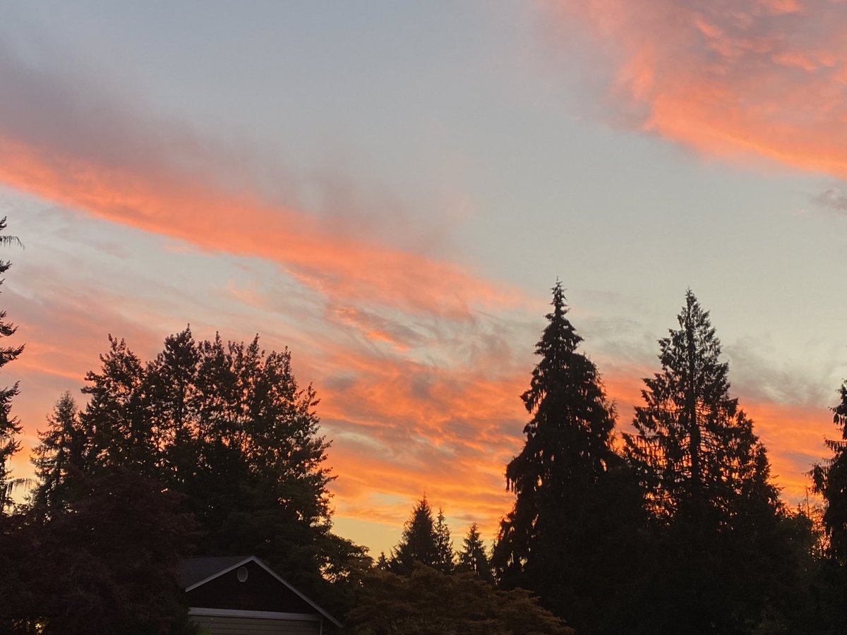 Seattle Weather Blog tweet media