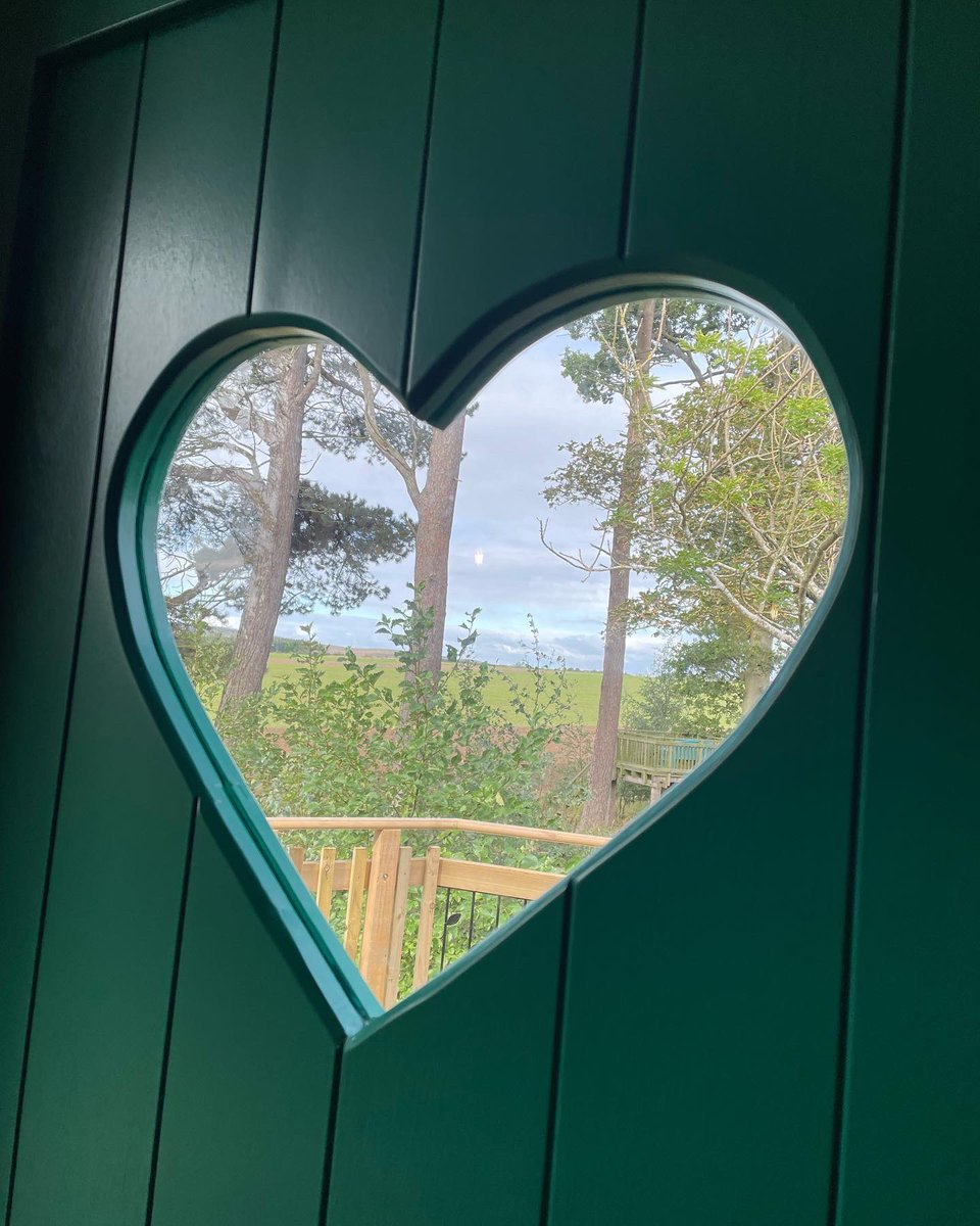 McAllisterandCo's tweet image. So much love ❤️ at @LaverockLaw, officially opening North Star Treehouse today. 

Fabulous place — check it out 🍂 #northumberland #endlessexperiences @VisitNlandbiz @VisitNland