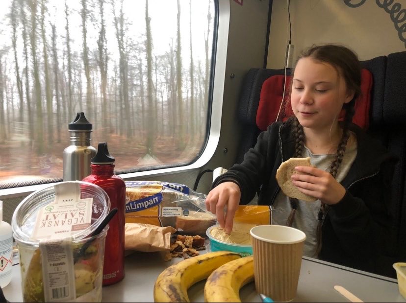 @Zoogerdee2024 @awlatlanta Anytime I see Greta I am reminded of this lunch. Count the amount of packaging on the table. Looks to be by herself. Notice that she’s on a train or bus. I’d love to see the carbon footprint for this one teenage girl lunch

x.com/honesty4ohioed…