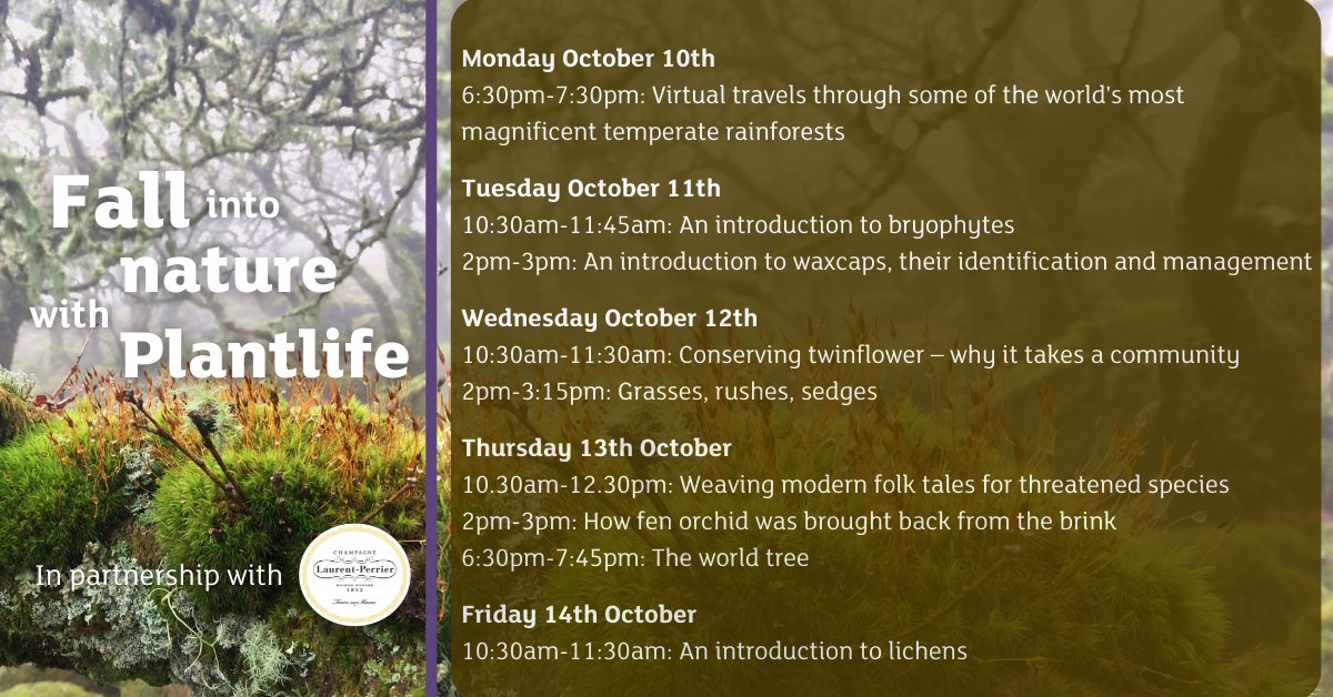 PlantlifeScot's tweet photo. October is just around the corner! and with that so is #FallintoNature with Plantlife! Check out these amazing virtual events we have planned for you: https://t.co/iWatL475Zb https://t.co/WzVprCLG5Y