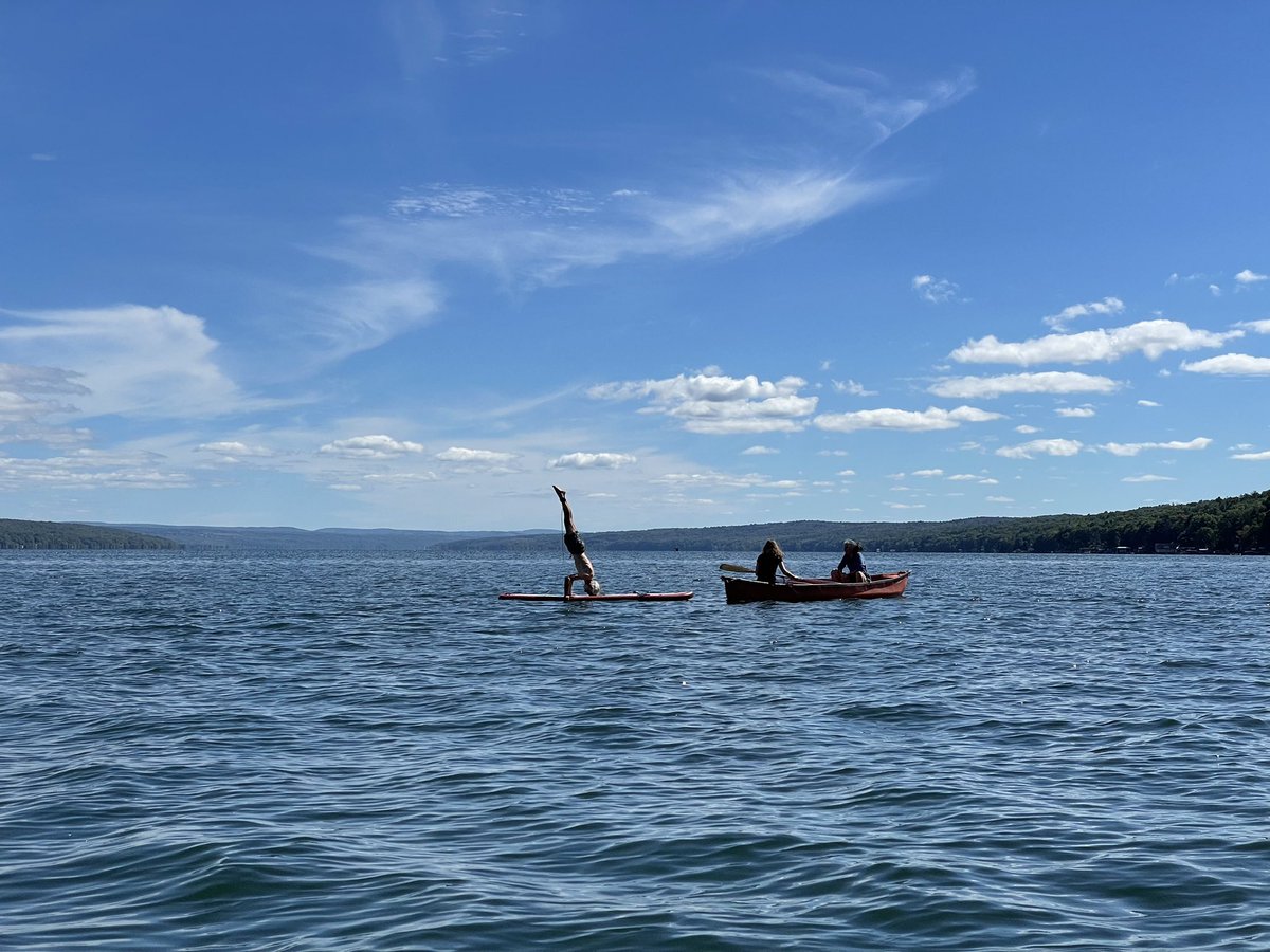 TheClarkLabCornell tweet media