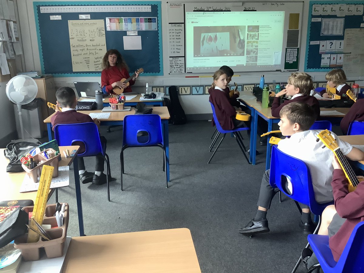 Courageous Crocodiles tweet media