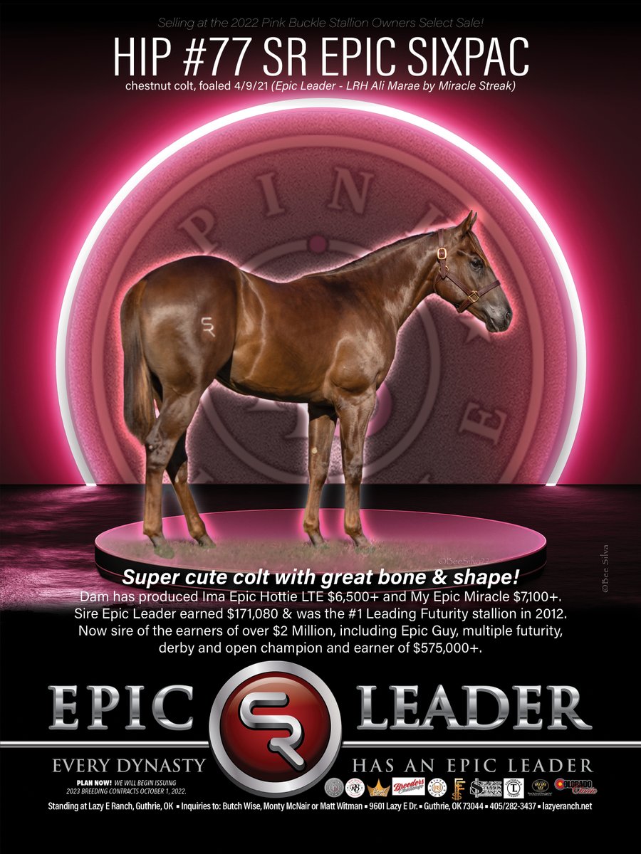 Check out this EPIC LEADER yearling selling at the 2022 Pink Buckle Stallion Owners Select Sale!  See catalog page HERE:  online.pubhtml5.com/ndzz/sdeh/#p=1…