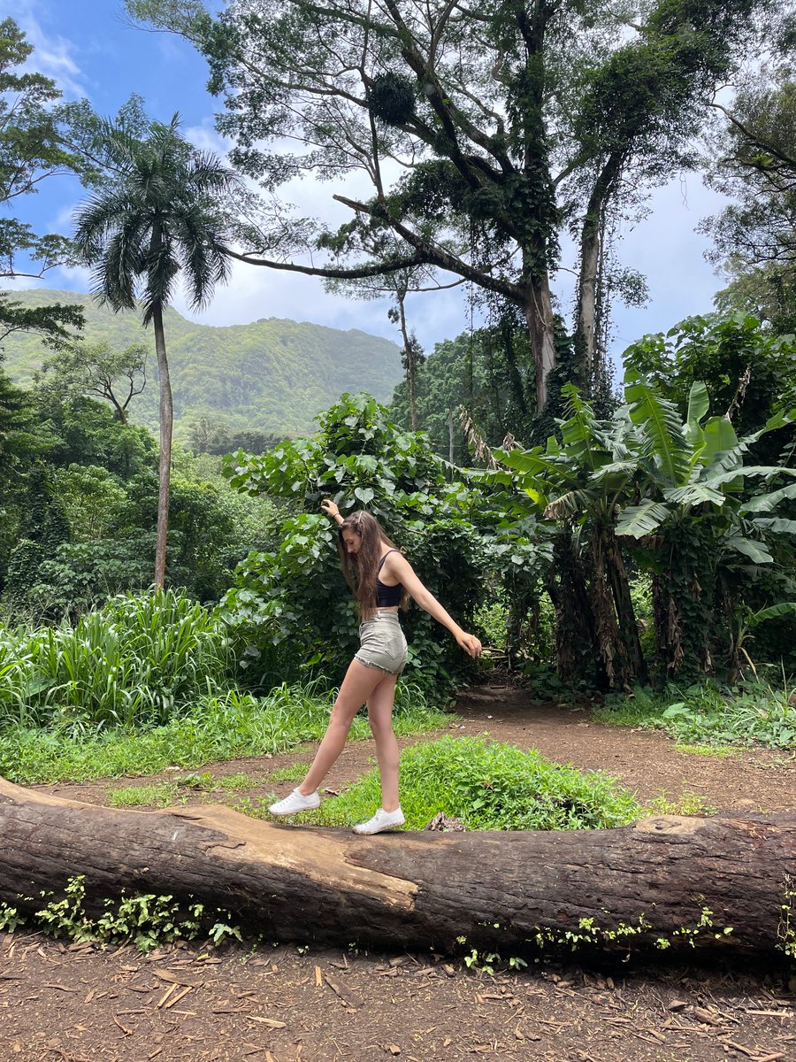 mwrlife's tweet photo. Hello Team, I'm Solène! Today I am sharing my latest trip booked with #TravelAdvantage, Hawaii!
It was a dream to go here, a very expensive destination. I could save 309 € on my hotel with a sea view as well & it was the cheapest option on the island! #MWRLife #MakeWealthReal https://t.co/rlqUwxwdsY
