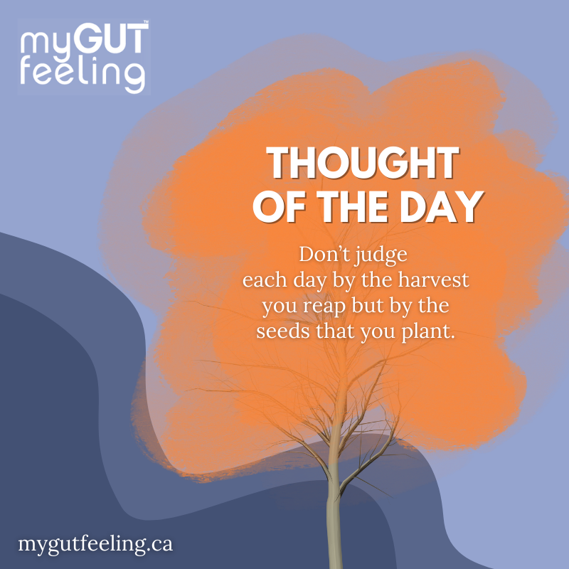 mygutfeelingca's tweet photo. Every day has the potential to be great, just believe and appreciate your progress.
#StomachCancerAdvocacy #StomachCancerEducation #StomachCancerAwareness #StomachCancerSupport #MyGutFeeling https://t.co/zbUrYtVxd2
