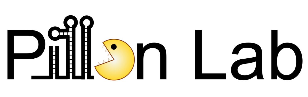 Shoutout: The <a href="/monica_pillon/">Pillon Lab</a> lab is fascinated w ribonucleases. These enzymes are fundamental for life, yet it’s unclear how they precisely cut their cognate RNA targets. The lab focusses on ribonuclease regulation to understand how it promotes health &amp; contributes to disease.