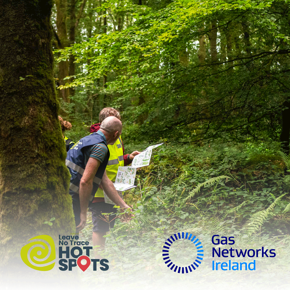 LeaveNoTraceIrl's tweet photo. Do you live locally to #TurveyNatureReserve & #RogerstownEstuary? We’re looking for volunteers to take part in our #HotSpotProject with @GasNetIrl and @Fingalcoco to develop and restore this amazing wetlands!
Interested? Email Padraic: padraic (at) leavenotraceireland (dot) org https://t.co/PGkuGoPlPU