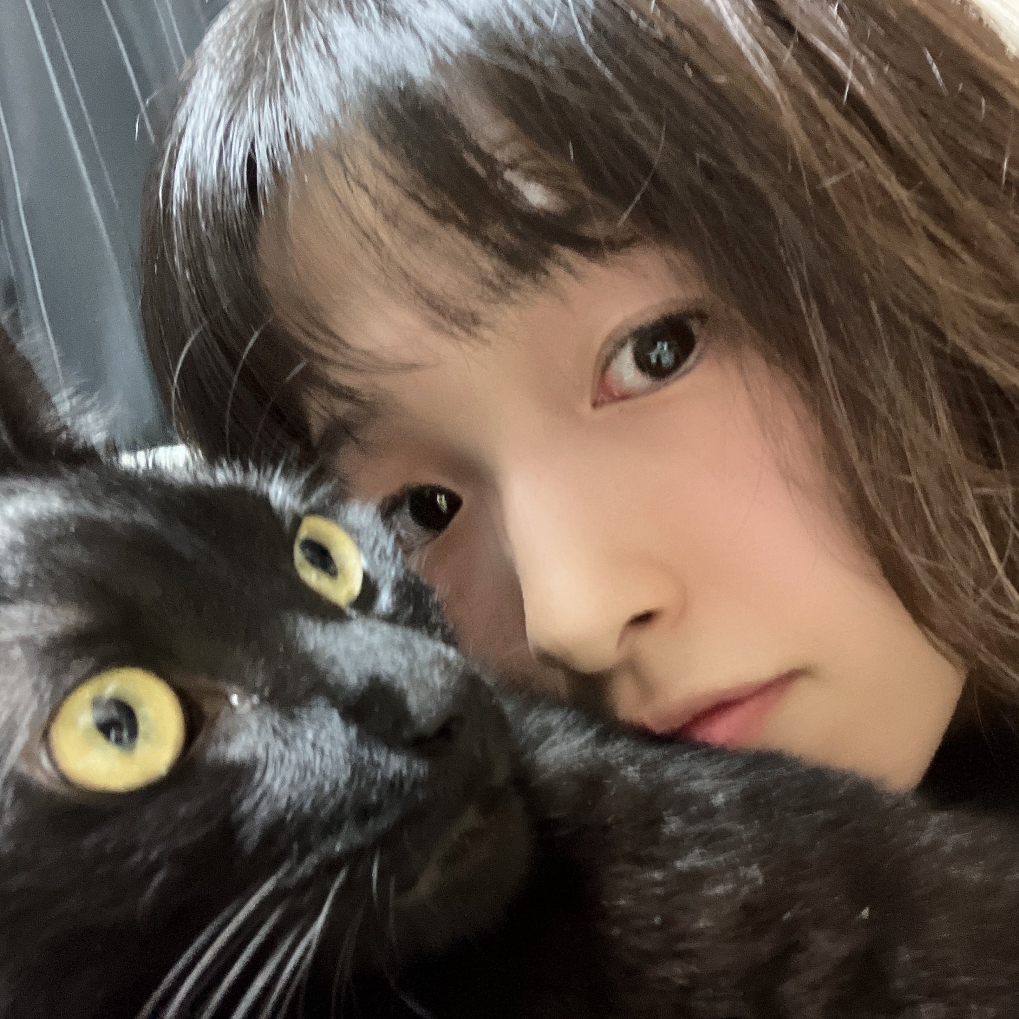 Tweets With Replies By 住吉絵里子 Eriko Uta Twitter