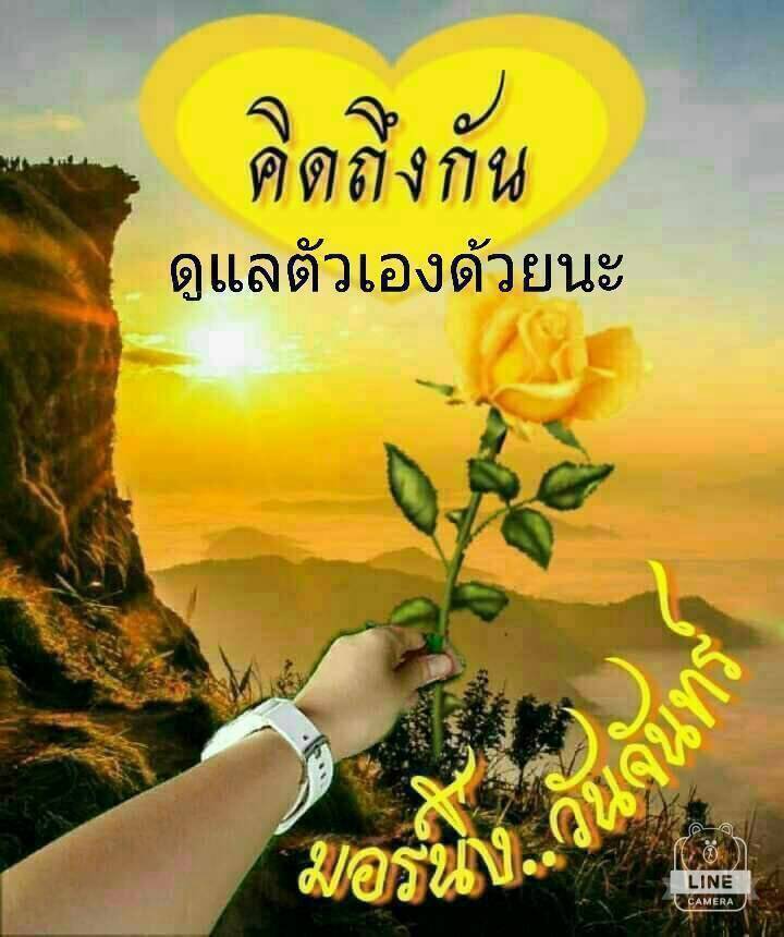 Non45084161's tweet photo. @octa14028289 https://t.co/GP7jvHUDWp