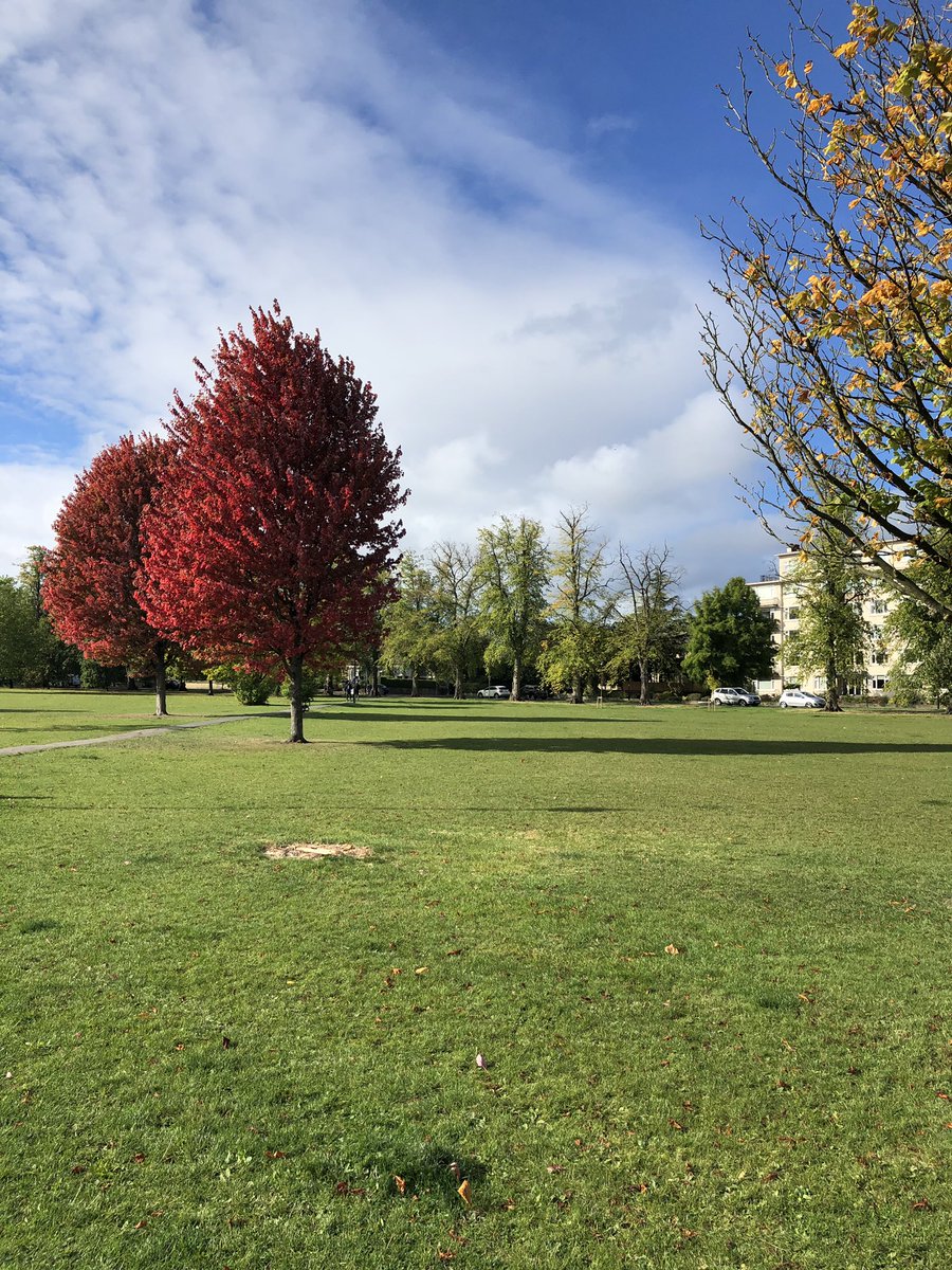 cemargerison's tweet photo. After my two hour show this morning I was treated to this lovely autumnal weather! The show and the autumnal weather definitely made the early start worth it! https://t.co/Zi7CYb5ODA