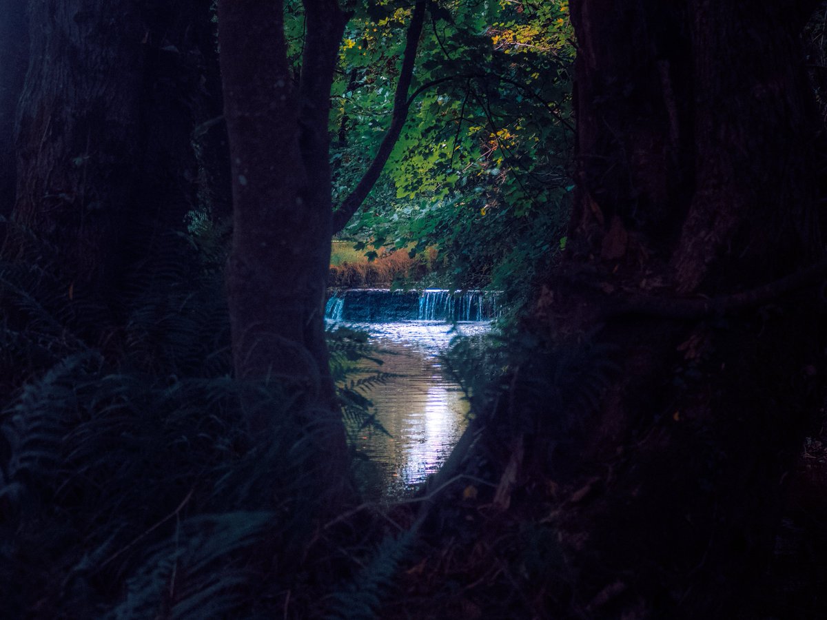 Sean Murphy tweet media