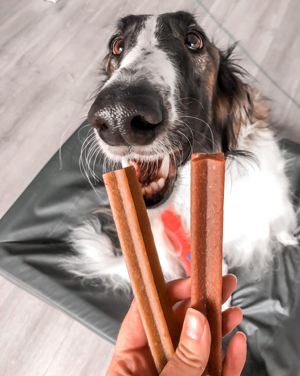 Double the DENTASTIX treats, double the yum. 👯😋 📷 enyaborzoi from Instagram #DENTASTIX #PEDIGREE #DogTreats