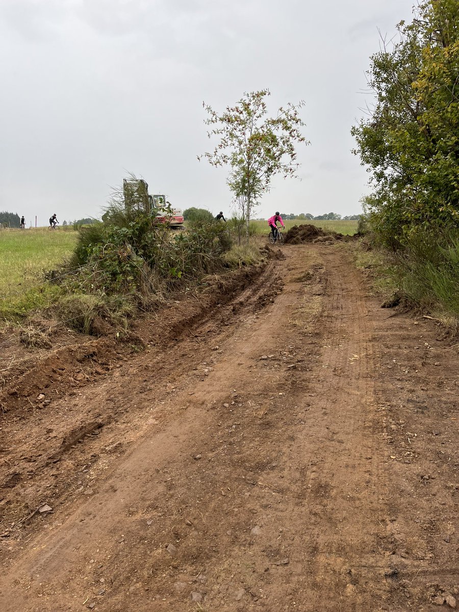 Miranda van Holstein tweet media