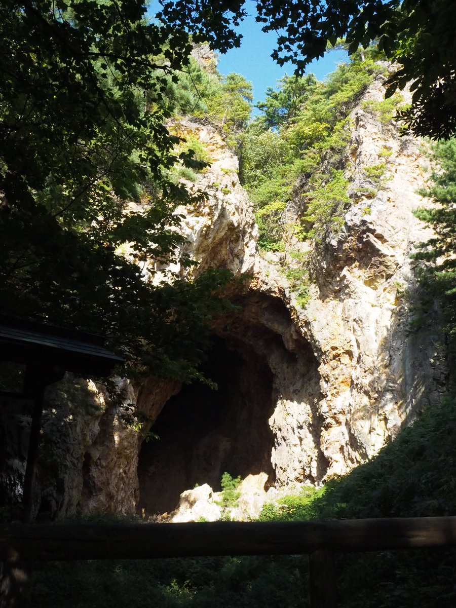 ろんぐち＠節約しマッスル💪('ω'💪) tweet media