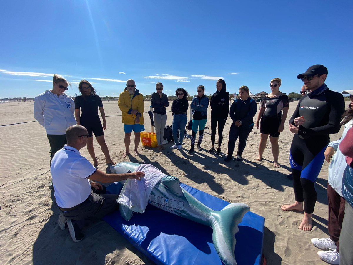 SeaChangeHeal's tweet photo. Dr. Shawn Johnson teamed up with Dr. Nicola Pussini to teach a marine mammal anesthesia class, followed by a hands-on training on live cetacean stranding response as part of the Conservation Medicine of Aquatic Animals masters course through @UniPadova 📸@cetaceanteam https://t.co/rvgqOEGeNv
