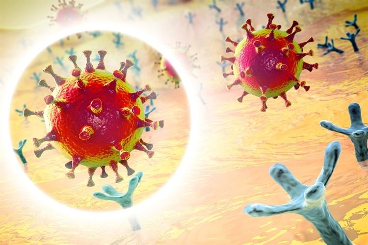 RA10271354's tweet photo. @EricTopol @Nature @ewencallaway @SolidEvidence @dho What happened to the studies of all variants of SARS-CoV-2 blocked by a simple peptide with nanomolar neutralizing efficacy. https://t.co/7VvqFqTcXX