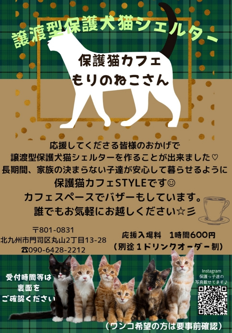 いろいろ応援したい 6 Ayaka 9 Twitter