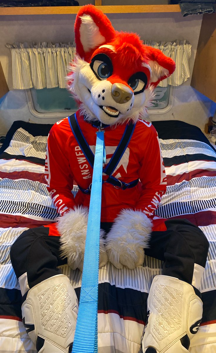 Tug on my leash and make me aarrff 🥴 
#MxMonday