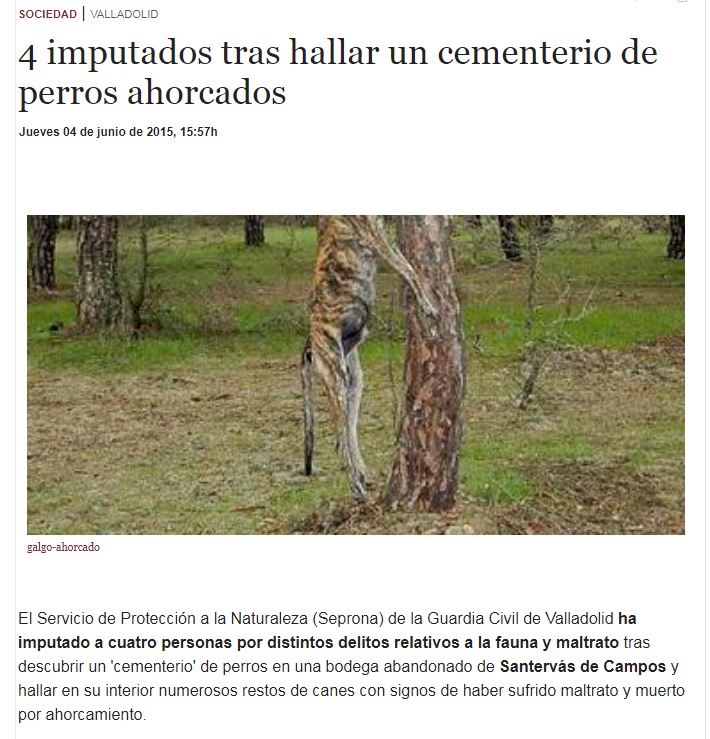 SanAntitaurino's tweet photo. Una ley de protección para proteger a los perros más protegidos y desproteger a los más maltratados. la lógica del PSOE
#PSOENiUnSoloPerroAtras
@sanchezcastejon @PSOE https://t.co/hyfWKmjtYB