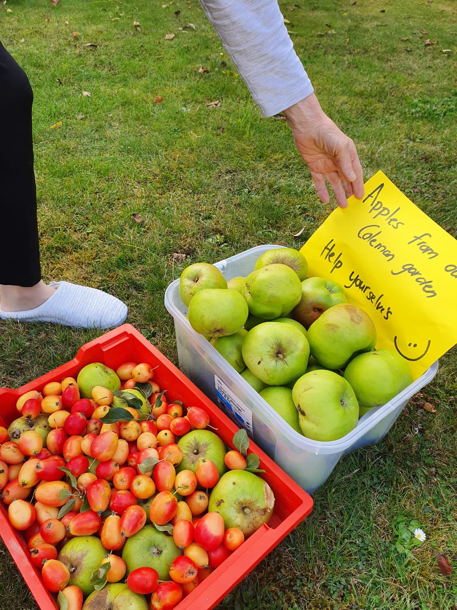 LPT MHSOP THERAPY (@lptmhsop) on Twitter photo Apples picked from Coleman ward garden. Perfect for a scrumptious crumble ๐๐ <a href="/shifajussab/">Shifa Jussab</a> <a href="/Stephan82642692/">Stephanie Pollard</a> <a href="/LPTnhs/">Leicestershire Partnership NHS Trust</a> Apples picked from Coleman ward garden. Perfect for a scrumptious crumble ๐๐ <a href="/shifajussab/">Shifa Jussab</a> <a href="/Stephan82642692/">Stephanie Pollard</a> <a href="/LPTnhs/">Leicestershire Partnership NHS Trust</a>