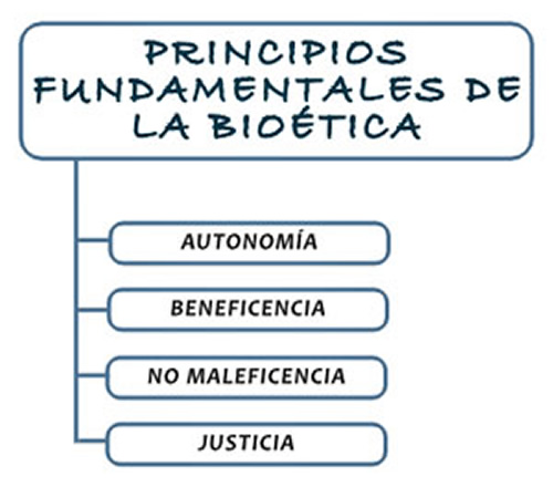 Nuevo Test Celadores Online de Legislación... BIOÉTICA FdlrIyhWIAIkK5f?format=jpg&name=small