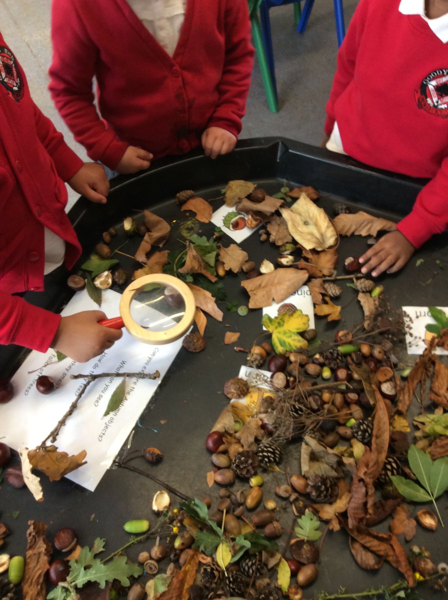 This week Reception are exploring Autumn. We will be thinking about Autumn objects that we might find outdoors and discussing 'WOW' words to describe them. We are going on an Autumn walk where we will collect a range of items to help us create a representation of our own faces.