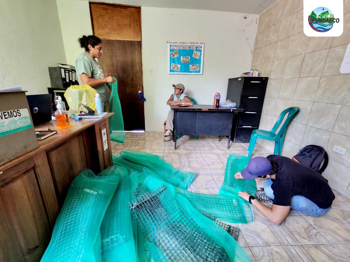 fundaecoguate's tweet photo. #NOTICIAS 🌊🐟📝 Desde hace 10 años el Programa #MaresVivos contribuye al Ejercicio de Conectividad de Larvas en el Arrecife Mesoamericano #ECOME a través de la recolección e identificación de #especies de valor #ecológico y comercial. Vea nota completa👉 https://t.co/Cb3G04hlzN https://t.co/pBQdS9Yb07