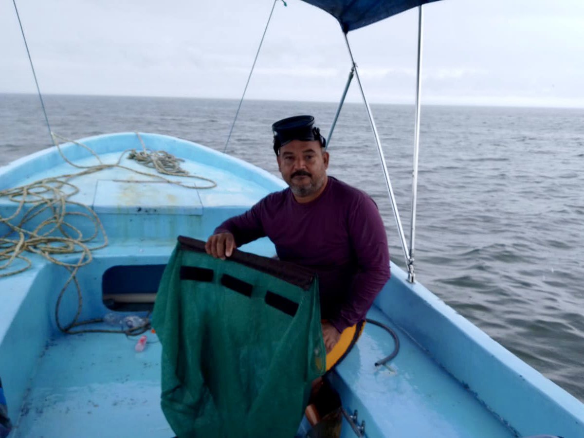 fundaecoguate's tweet photo. #NOTICIAS 🌊🐟📝 Desde hace 10 años el Programa #MaresVivos contribuye al Ejercicio de Conectividad de Larvas en el Arrecife Mesoamericano #ECOME a través de la recolección e identificación de #especies de valor #ecológico y comercial. Vea nota completa👉 https://t.co/Cb3G04hlzN https://t.co/pBQdS9Yb07