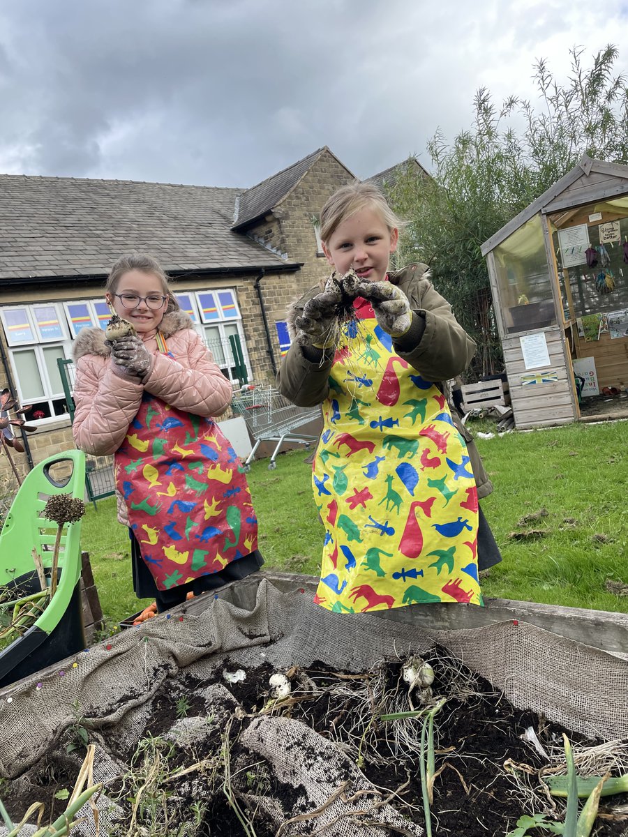 StColumbasCPS's tweet photo. @StColumbasCPS @bcw_cat Our first Harvest of the year! Year 5 collected onions, carrots and tomatoes and then shared them with year 5 & 6, keep an eye out for our next harvest. #goodcrops #harvest https://t.co/uAgzOMJZW9