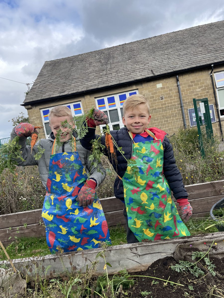 StColumbasCPS's tweet photo. @StColumbasCPS @bcw_cat Our first Harvest of the year! Year 5 collected onions, carrots and tomatoes and then shared them with year 5 & 6, keep an eye out for our next harvest. #goodcrops #harvest https://t.co/uAgzOMJZW9