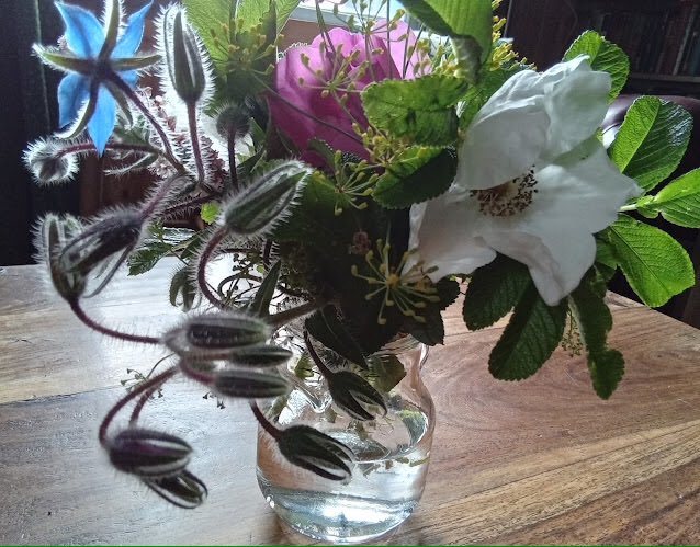 bearhouseman's tweet photo. Radical Simple Living: Glass Jars https://t.co/Hm7pKqIQrX
#glass #jamjars #simpleliving #canning #pickling https://t.co/avRDev3EKf