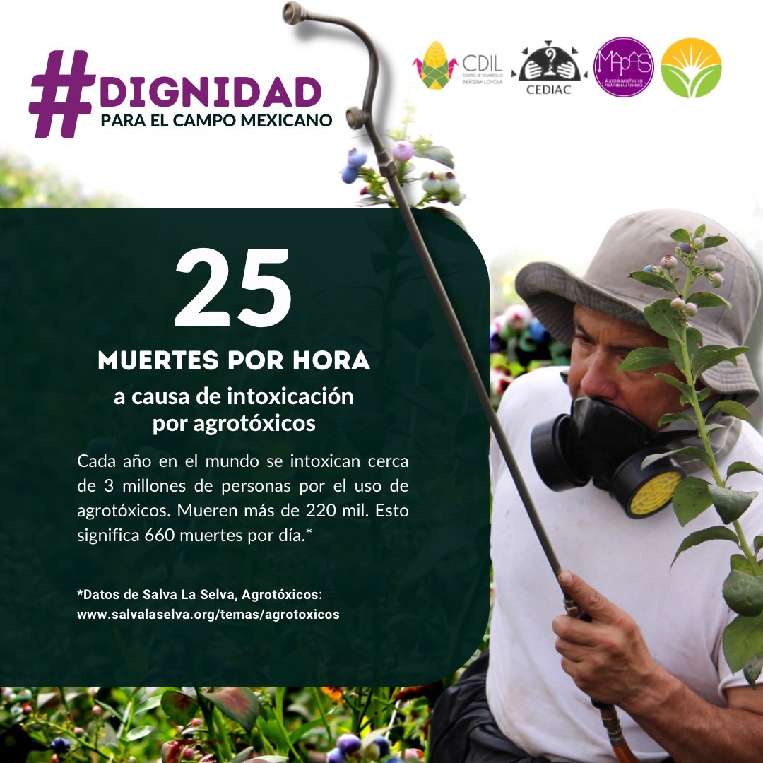 Centro de Desarrollo Indígena Loyola tweet media