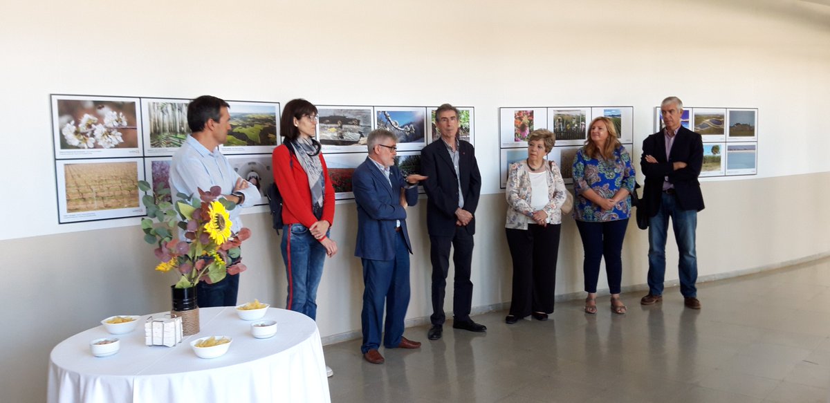 Eng_Agronoms's tweet photo. 🗣 Presentació de l'Exposició de Fotografies del Concurs de Fotos d'@Eng_Agronoms 

👉 Amb la degana Conxita Villar, el rector @UdL_info @JaumePuy, el director @ETSEA_UdL @JGraell_ETSEA, la presidenta @ANIAagronomos Ma Cruz Díaz i els guanyadors @iservia, O. Trindade i N. Moreno https://t.co/VR3JFtyoVf