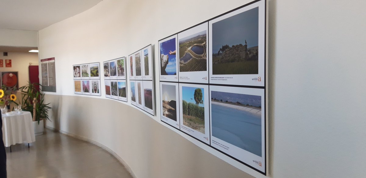 Eng_Agronoms's tweet photo. 🗣 Presentació de l'Exposició de Fotografies del Concurs de Fotos d'@Eng_Agronoms 

👉 Amb la degana Conxita Villar, el rector @UdL_info @JaumePuy, el director @ETSEA_UdL @JGraell_ETSEA, la presidenta @ANIAagronomos Ma Cruz Díaz i els guanyadors @iservia, O. Trindade i N. Moreno https://t.co/VR3JFtyoVf