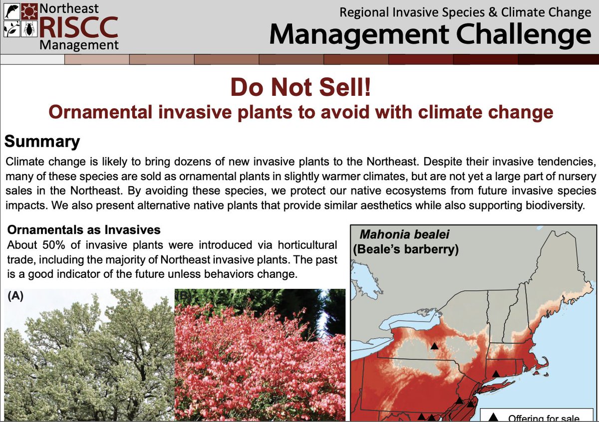 Climate science can be dense, but it doesn't have to be! The <a href="/riscc_network/">Northeast RISCC Network</a>, led by NE CASC Codirector Bethany Bradley, has created a variety of outreach materials that clarify the connection between the dual threats of climate change &amp; invasive species: bit.ly/3SiPYZO