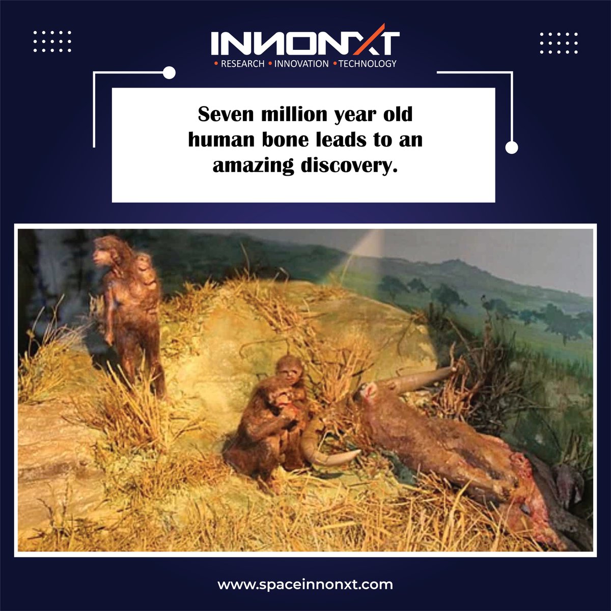 innonxt's tweet photo. Seven million-year-old human bone leads to an amazing discovery.
.
.
.
 #spaceinnonxt #innonxt #research #innovation #technology #innovations #AdvancedTechnology #humanbone #human #bone #boné #leads #amazing #discovery #amazingdiscovery #millionyearsold #seven https://t.co/YvH77ffCH0