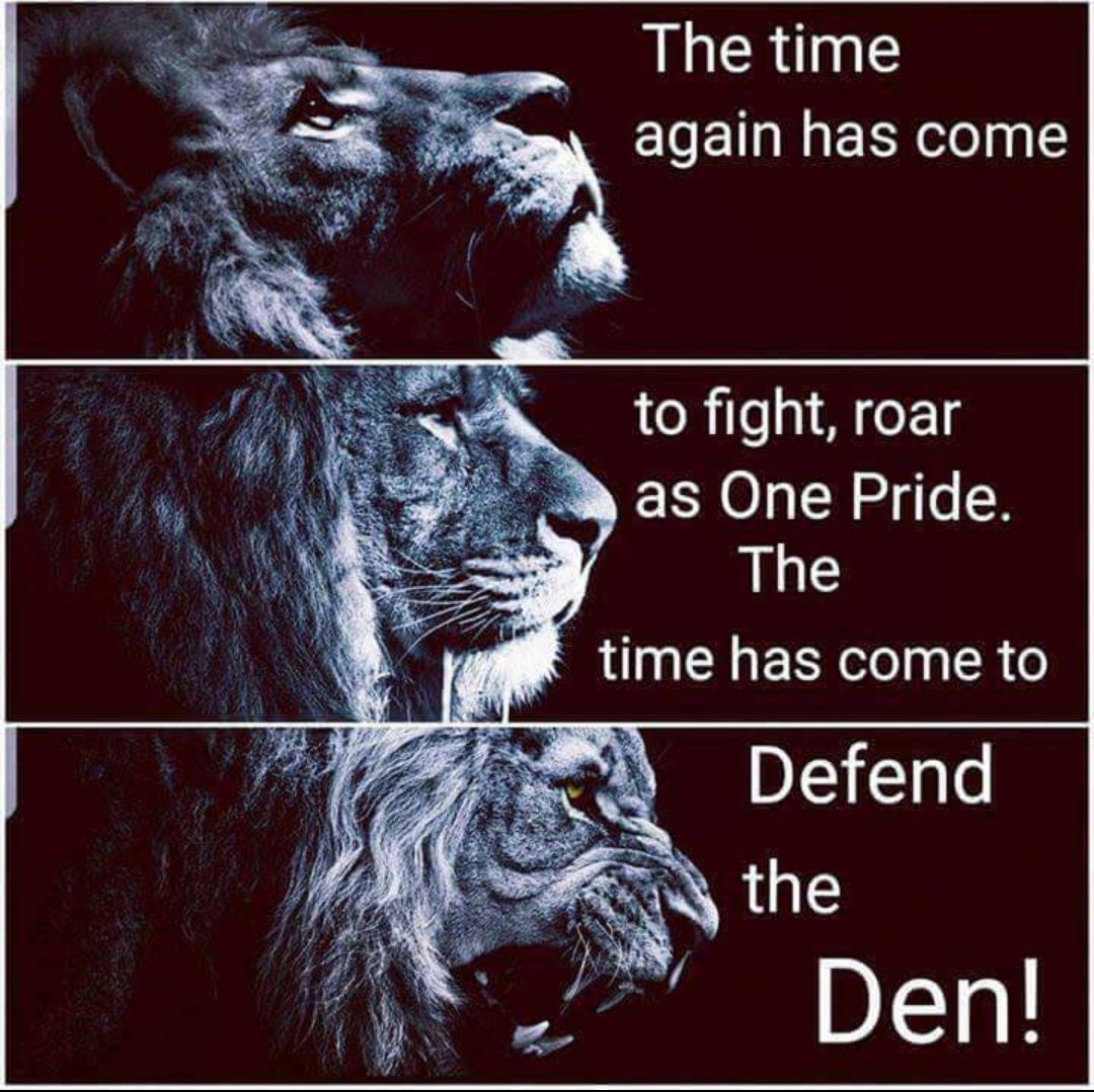 Fyahbird77 tweet media