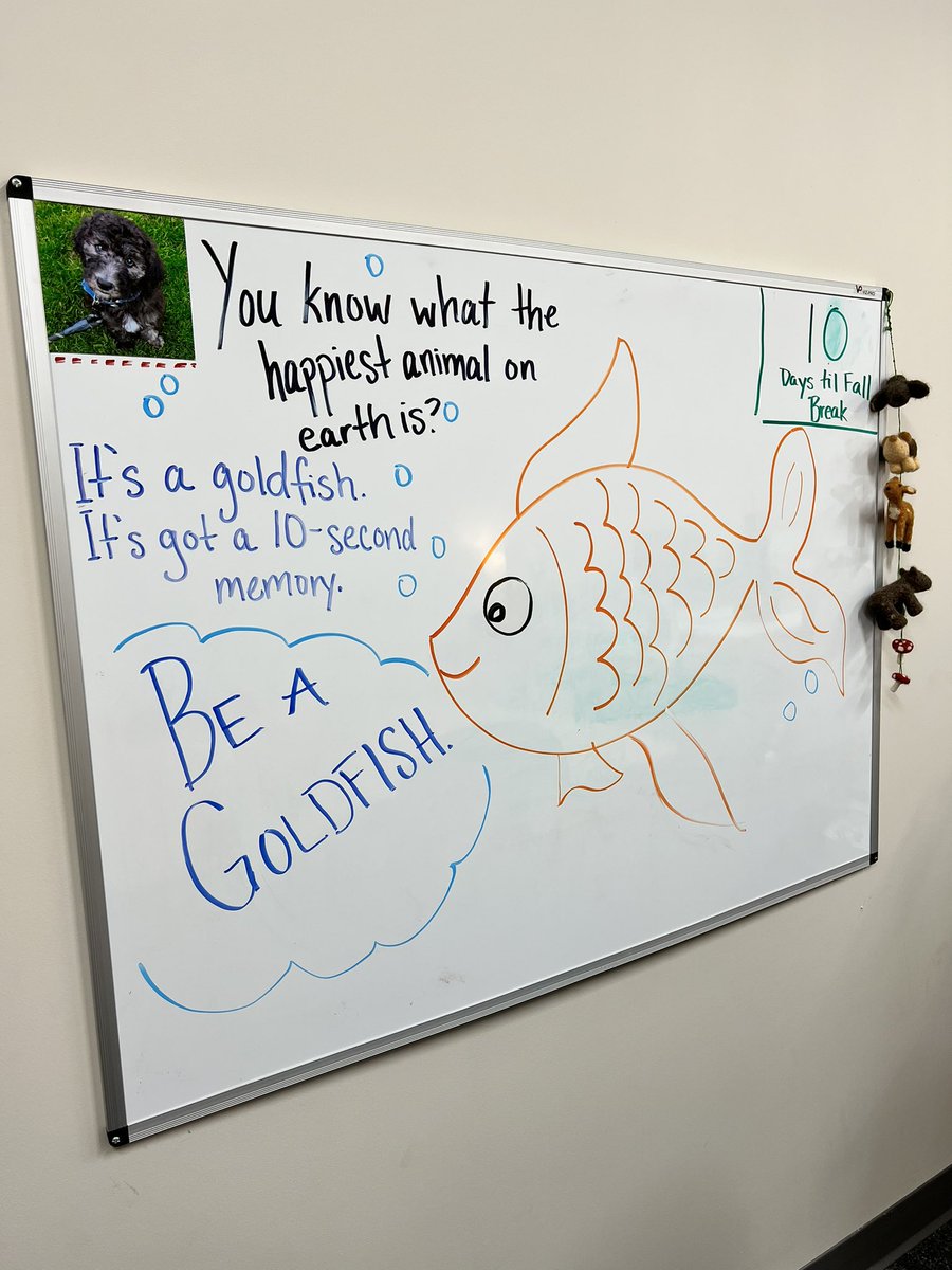 anna_goss's tweet photo. Testing to see if my coworkers are cool 🐠 https://t.co/gaEJ4mufB5