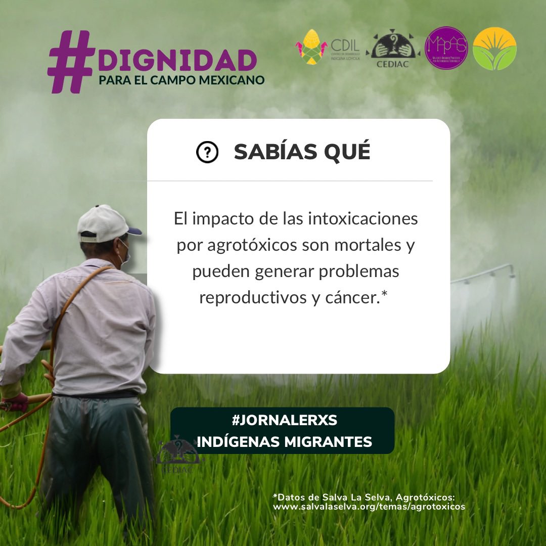 Centro de Desarrollo Indígena Loyola tweet media