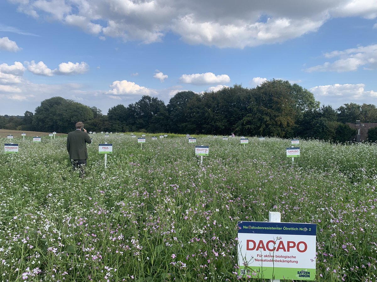 Saaten Union UK tweet media