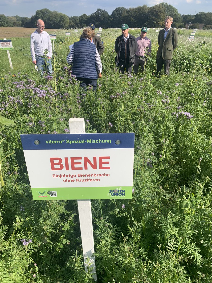 Saaten Union UK tweet media