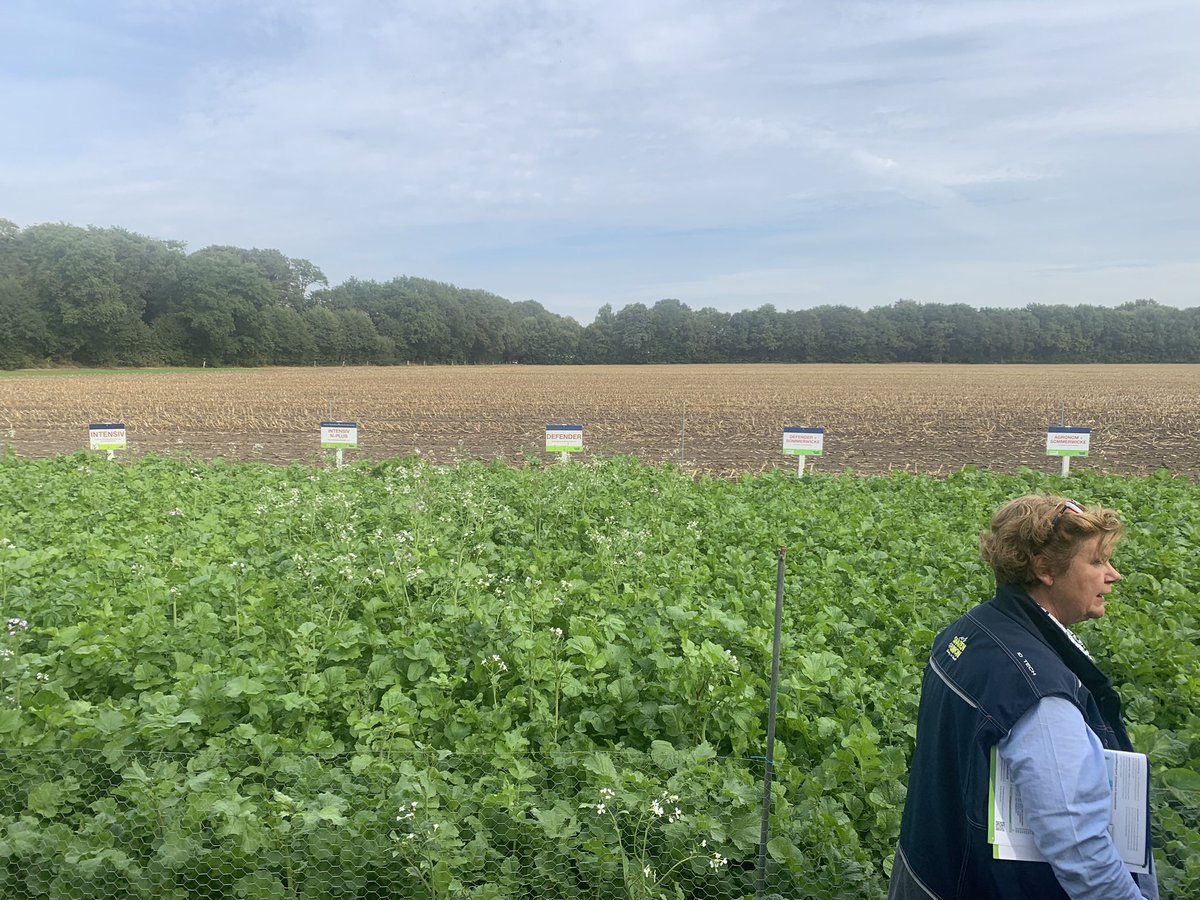 Saaten Union UK tweet media