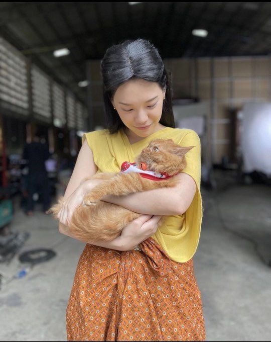 Jl0G1aoLAwgFTlJ's tweet photo. แม่หญ���งลำจวนกับแมวส้มน่ารักมุบมิบ

#CherprangAreekul
#CherprangBNK48 https://t.co/DQIO2lXiuR