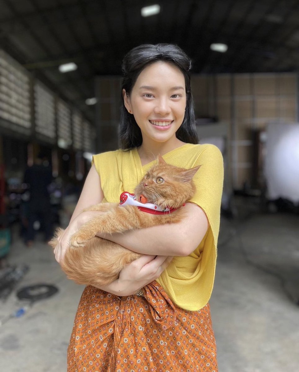Jl0G1aoLAwgFTlJ's tweet photo. แม่หญ���งลำจวนกับแมวส้มน่ารักมุบมิบ

#CherprangAreekul
#CherprangBNK48 https://t.co/DQIO2lXiuR