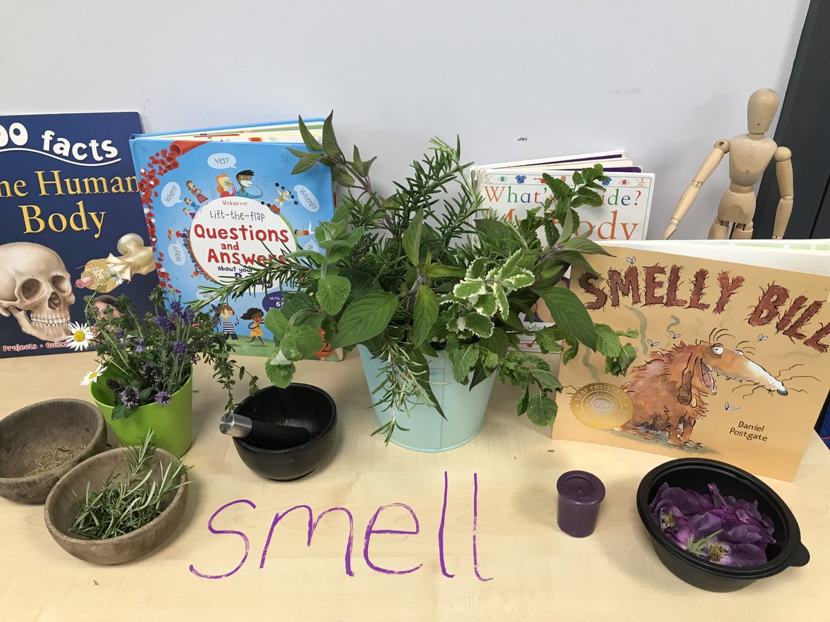 Dinnington_Rec's tweet photo. Reception @DinningtonFirst are learning all about our sense of #smell this week, making potions, sniffing new things and deciding what smells lovely and what is stinky!
#OpenToNewExperiences https://t.co/48nCJakFt0