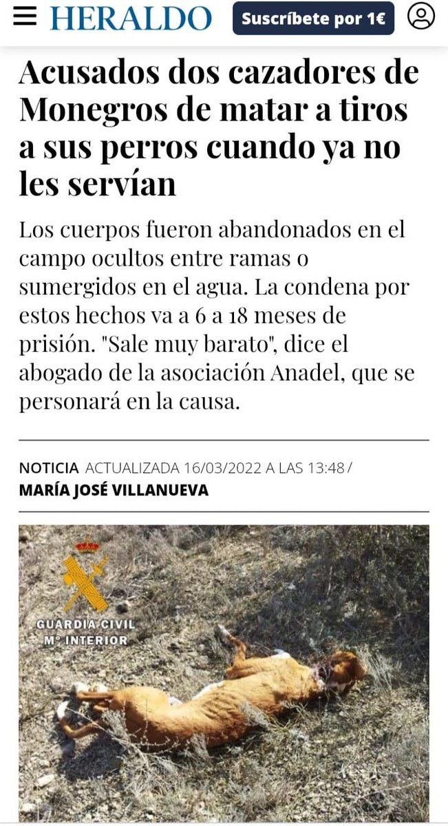 marianiserte tweet media