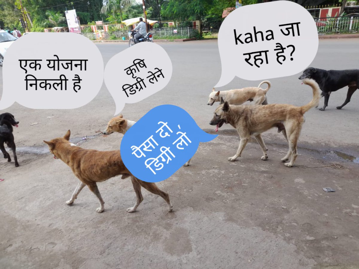 KeshavP43628364's tweet photo. जुल्मी जब जब जुल्म करेगा सत्ता के गलियारों से , चप्पा चप्पा गूंज उठेगा इंकलाब के नारों से
#fake_agriculture_degrees
@DrMohanYadav51 
@KamalPatelBJP 
@CMMadhyaPradesh 
@aajtak @MPTakOfficial 
@ZeeMPCG 
@BansalNewsMPCG 
@abplive https://t.co/ng2SxzSkgX