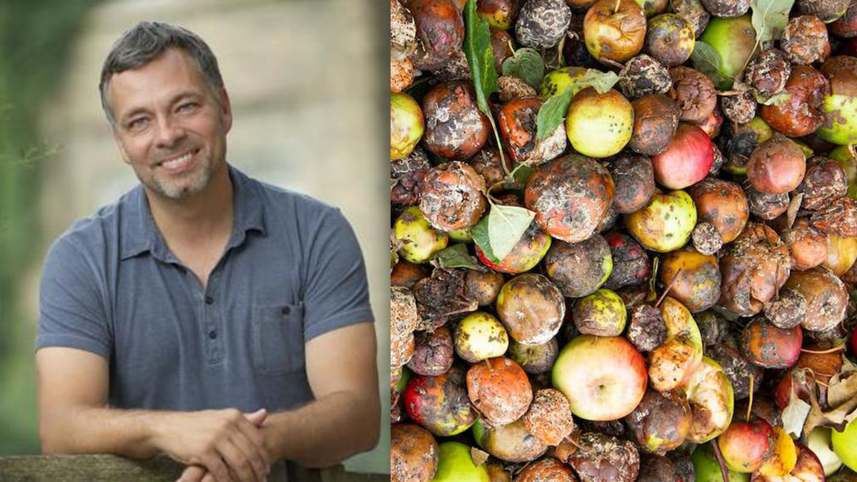UofGuelphNews's tweet photo. This Thursday is International Day of Awareness of Food Loss and Waste.

@LangUofG restaurant industry researcher Bruce McAdams shares some ideas on reducing food waste | #UofG

Read more: 
https://t.co/9xVAaSZJPI https://t.co/2Ua24G0nBb