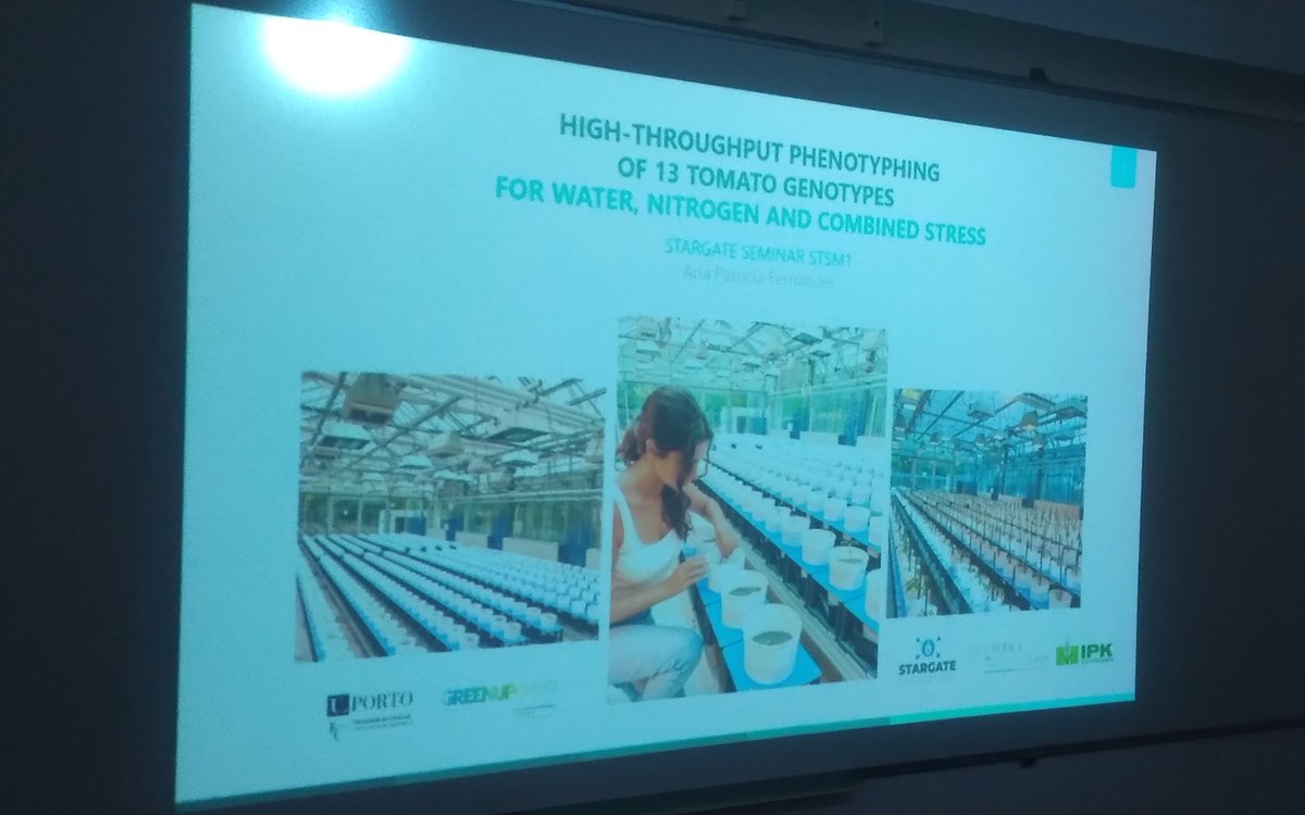 Stargate_CBQF's tweet photo. Our thanks to Ana Patricia Fernandes (PhD student at UP/UCP) for presenting the work developed at @LeibnizIPK  in the framework of the STARGATE short-term scientific mission entitled "Practical phenotyping in controlled environments, including image analysis". 

#work #phd https://t.co/AksRrx5840