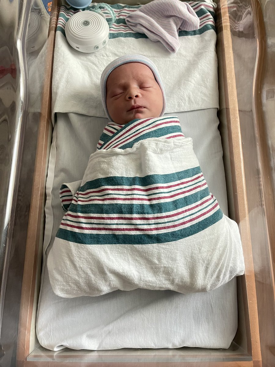 25 September 2022 

The best day of my life 

Nice to meet you little guy